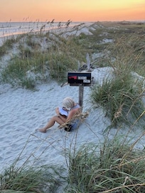 Leaving a message at the Kindred Spirit Mailbox on Bird Island.