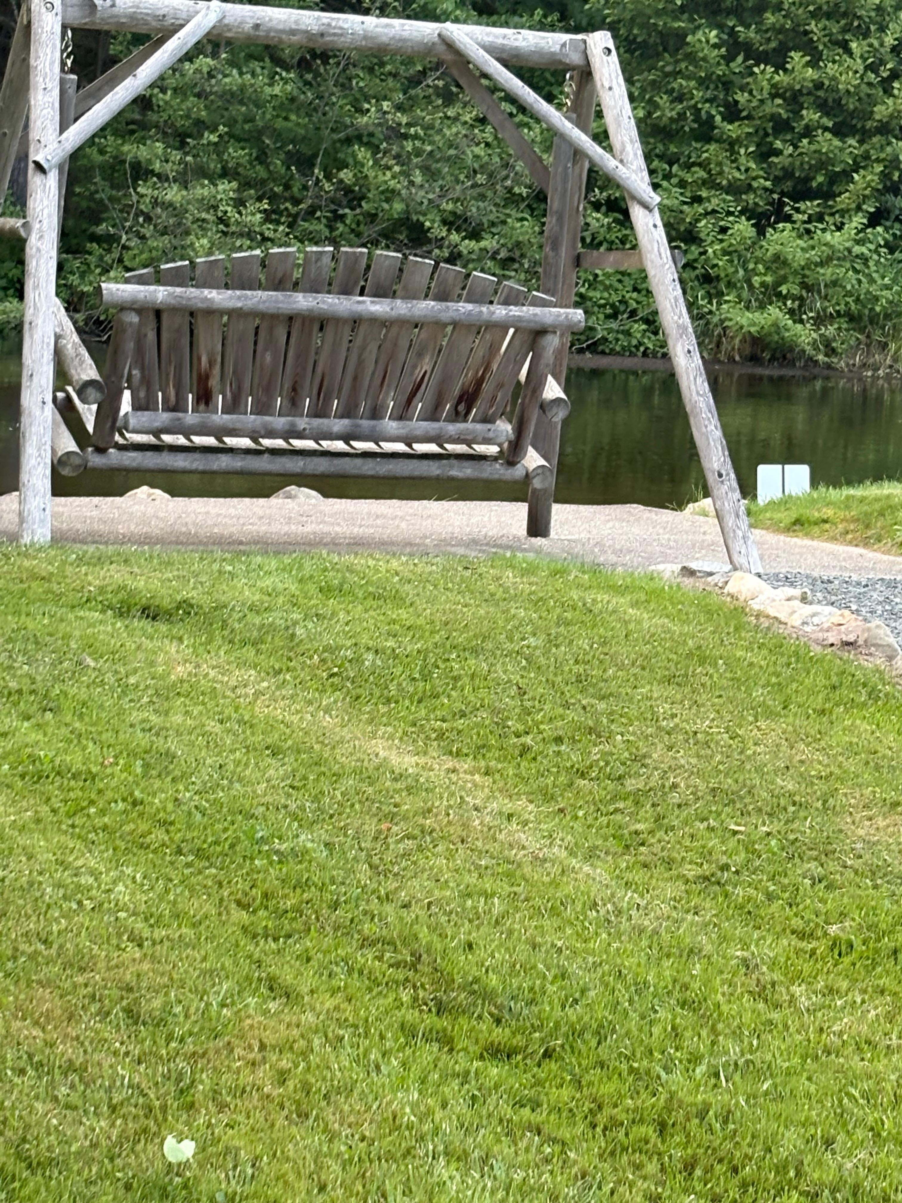 Swing by creek