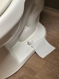 Urine on the toilet and floor