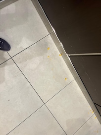 Cheese nips purposely spread around the elevator.