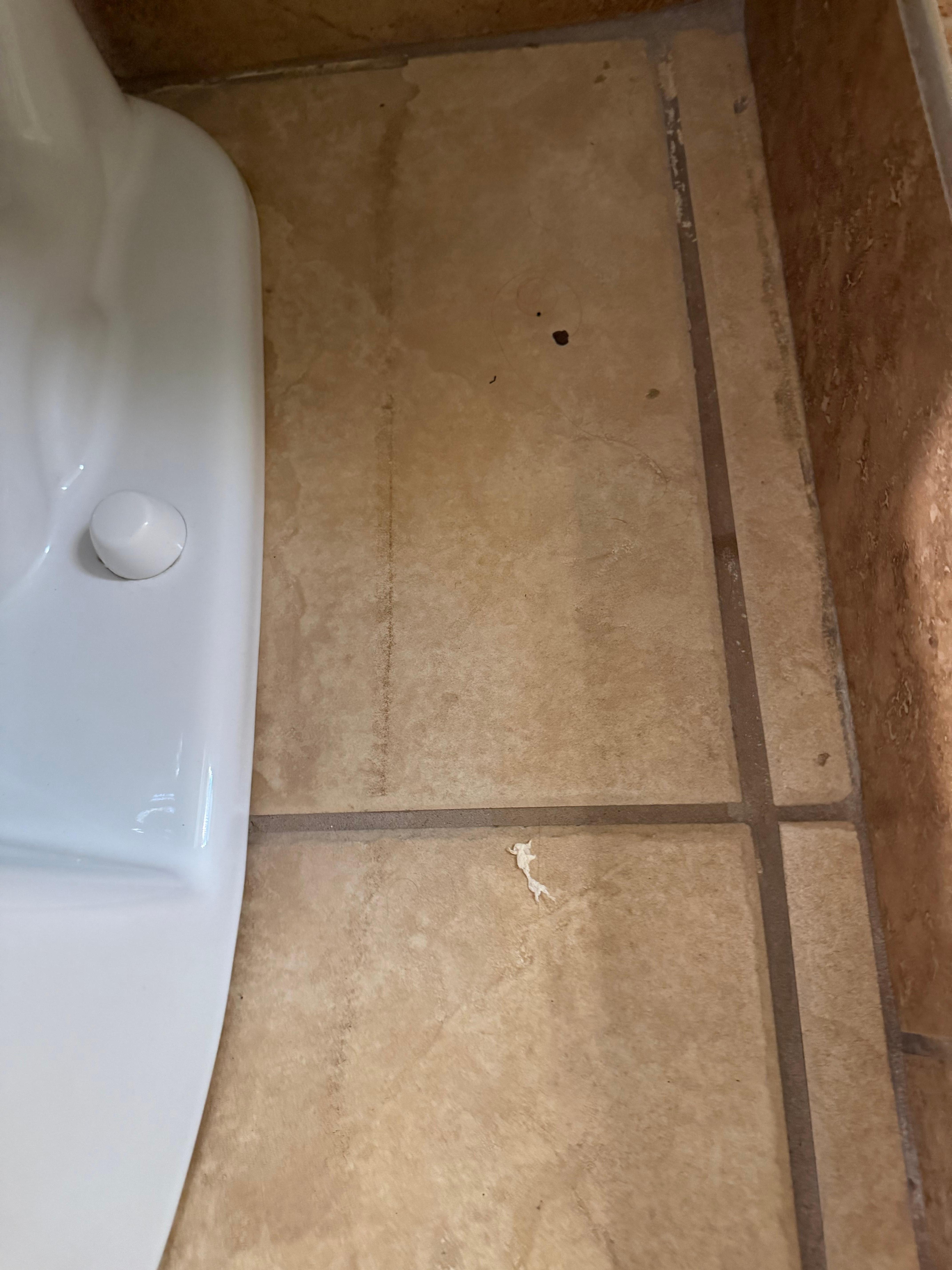 Poopy toilet paper on floor