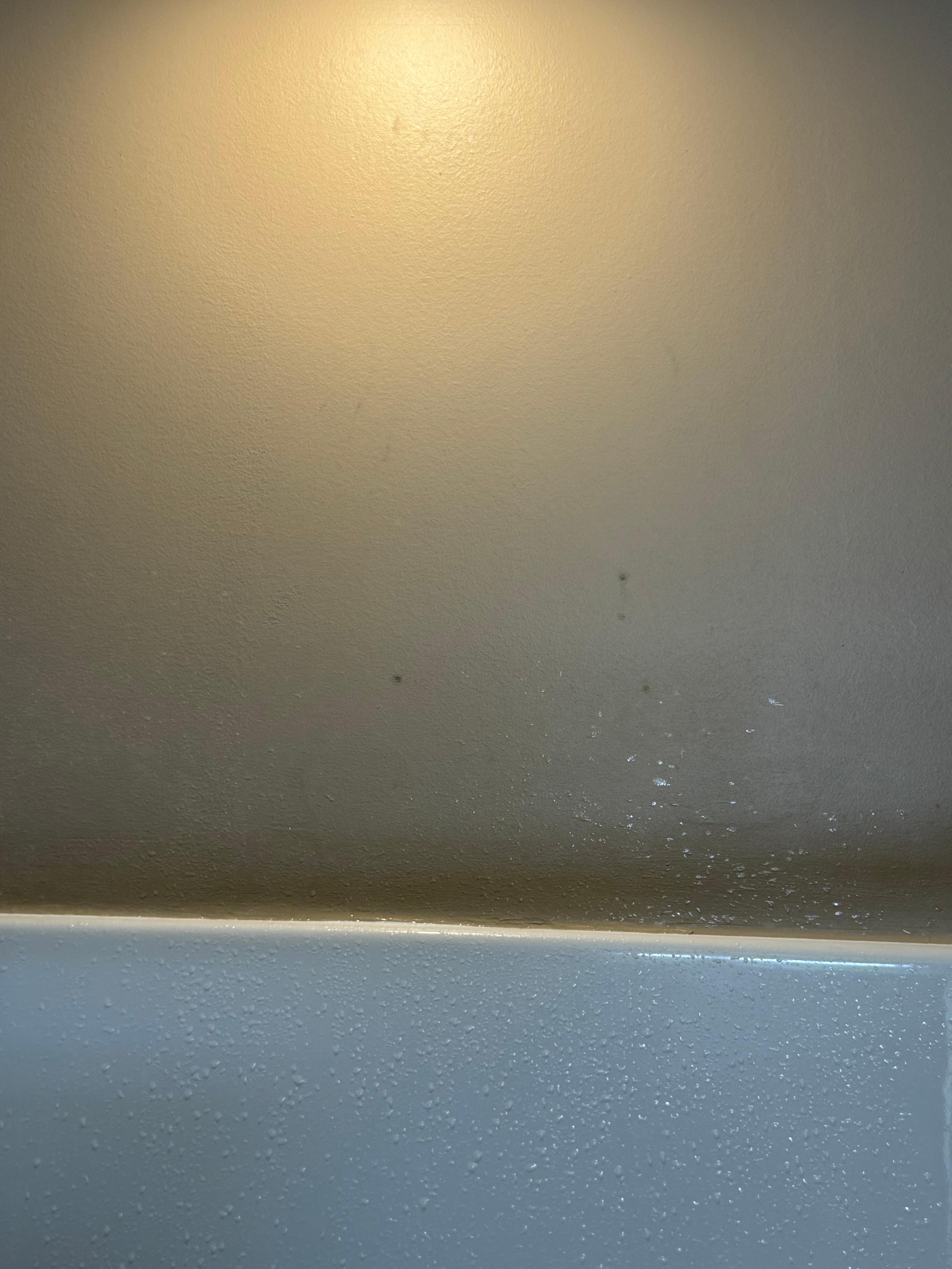 Mold on shower wall