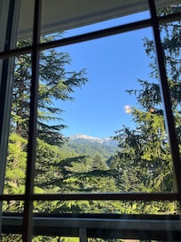 お部屋からの景色