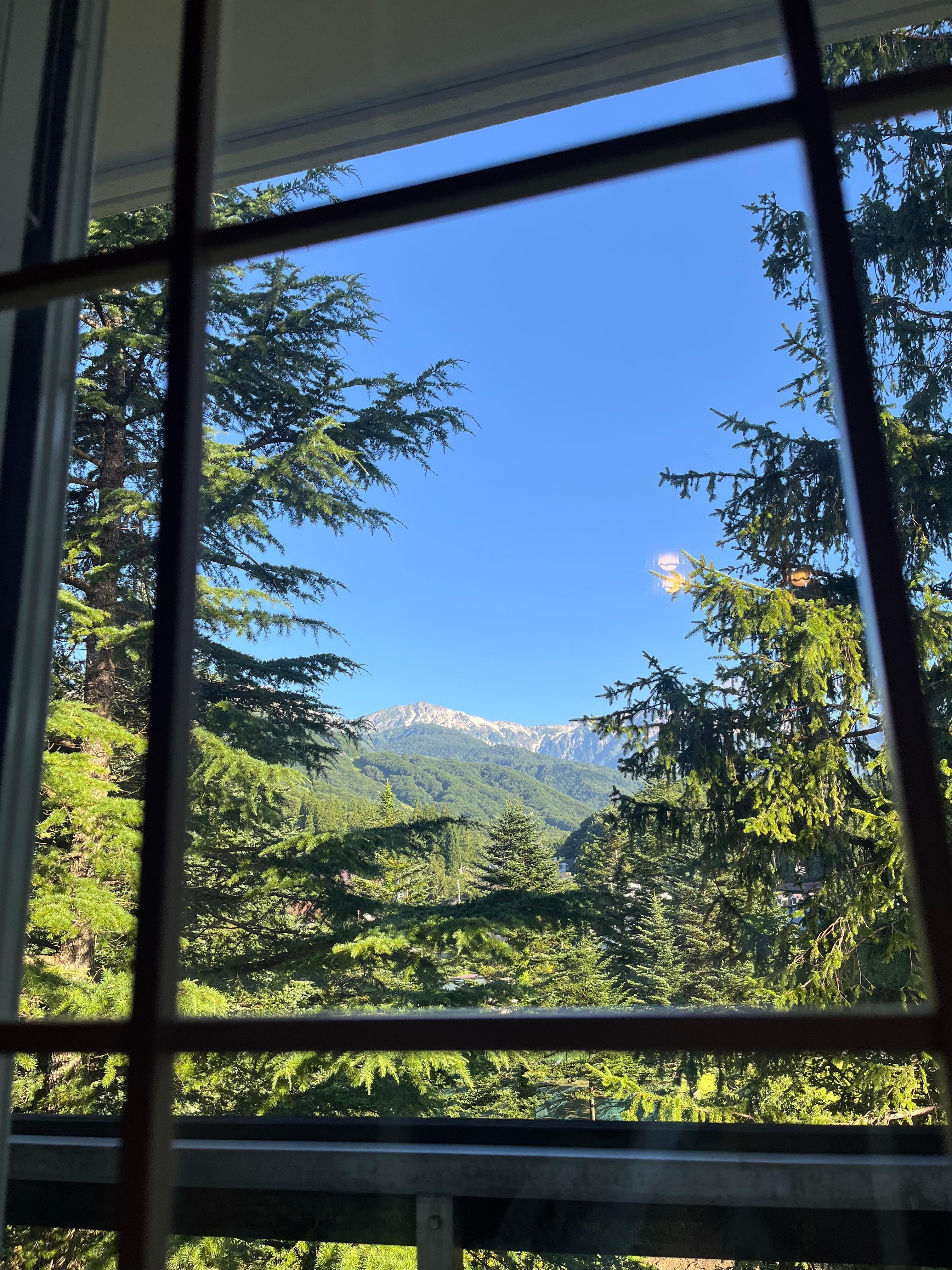 お部屋からの景色