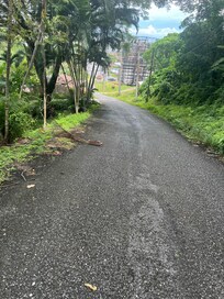 Extremely steep hill that I had to walk up in the pouring rain because staff refused to bring me to my room.