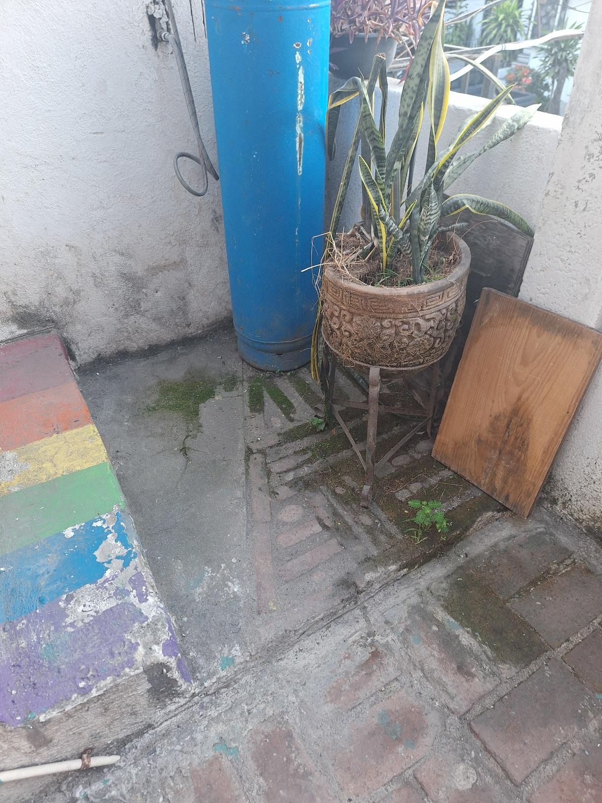 2nd floor patio was dirty and had weeds growing in cracks. Easy fix 1 hour to pull weeds and hose off.