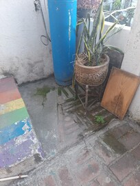 2nd floor patio was dirty and had weeds growing in cracks. Easy fix 1 hour to pull weeds and hose off.