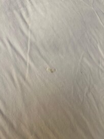 stains on sheets