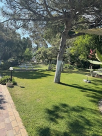Bahçeyi çok sevdik
