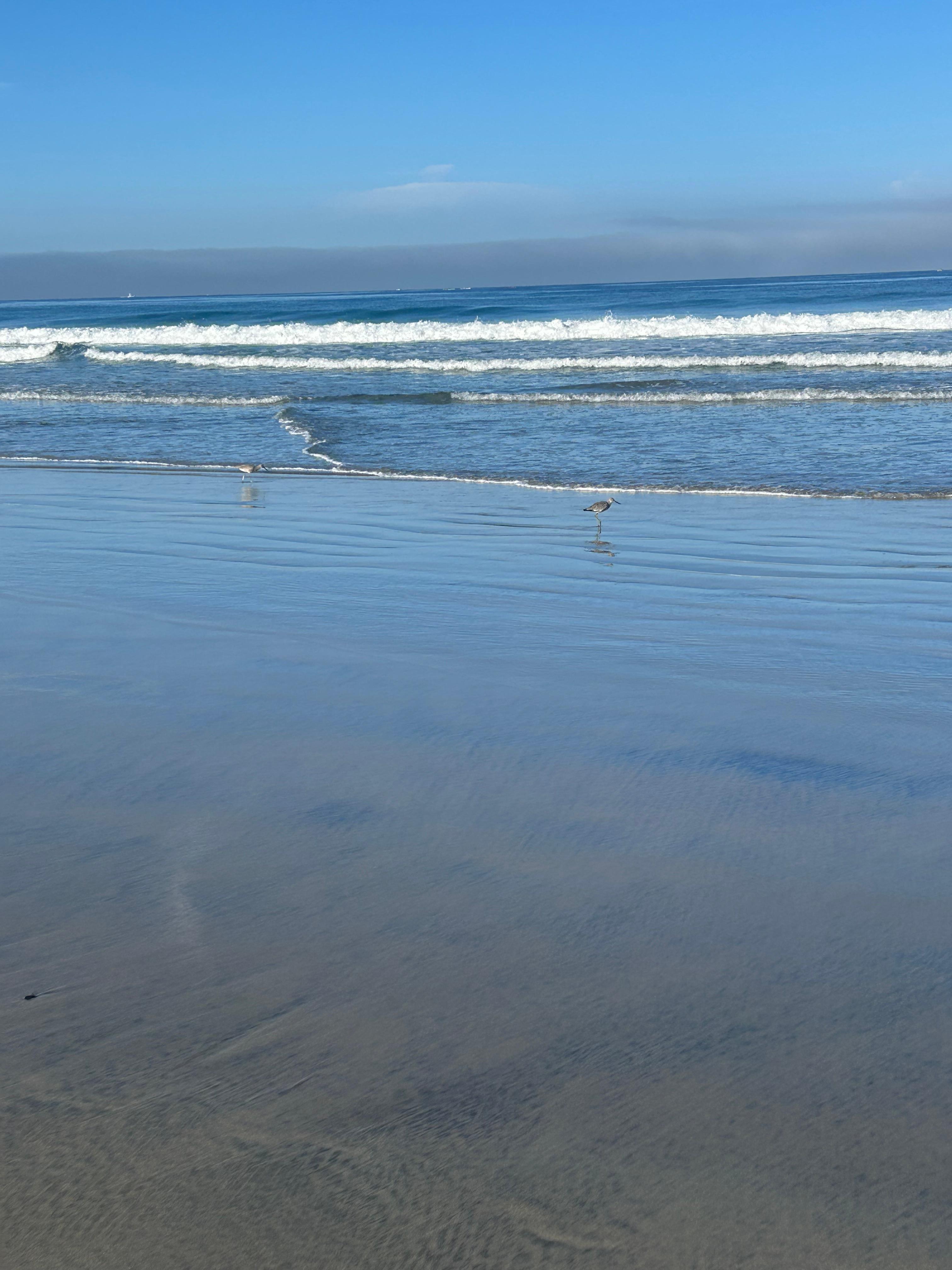 Morning view from the front patio. 