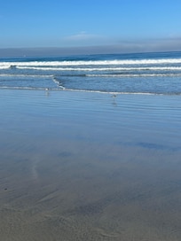 Morning view from the front patio.