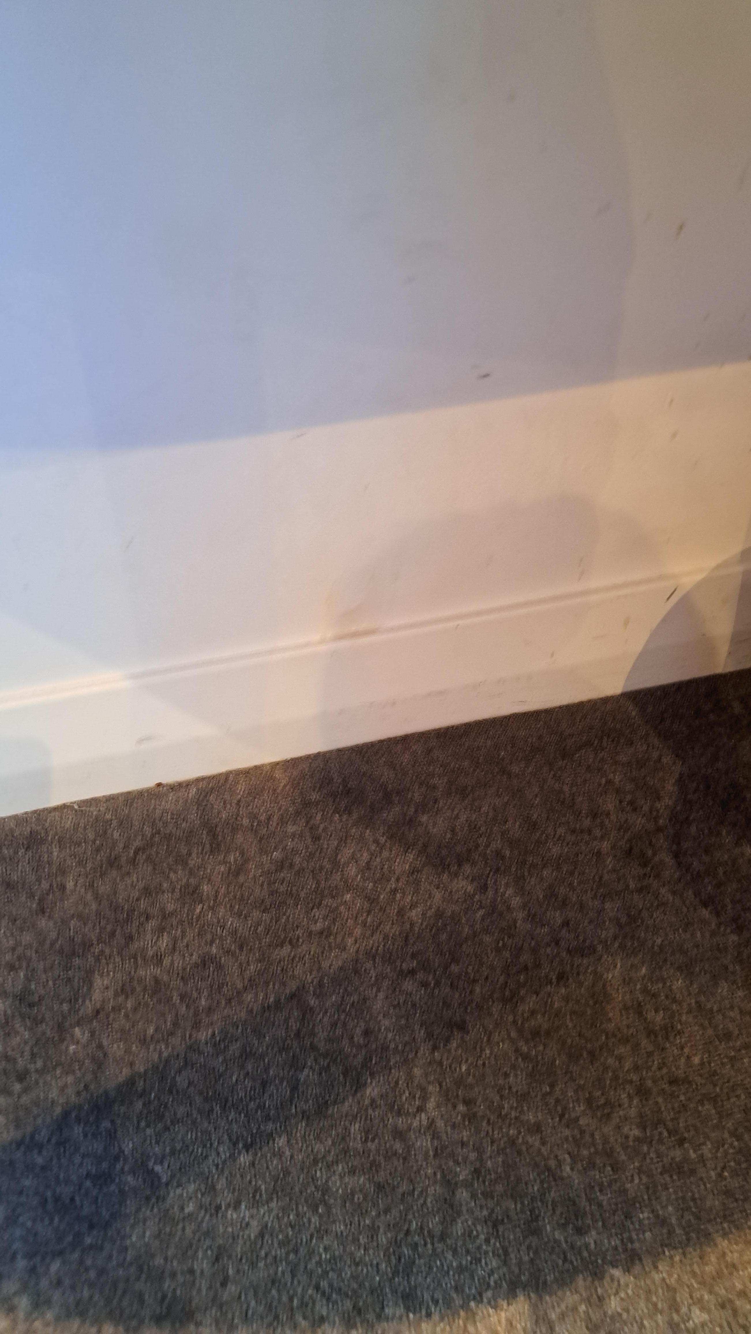 Blick unter den Schreibtisch,Kaffeekapselmachine,Wasserkocher und Zubehör,wie Gläser,Tassen,Löffel,Kaffee,Milch,Zucker,Tee sind vorhanden