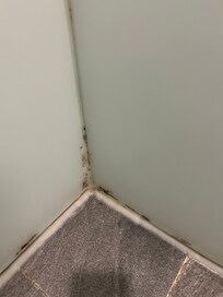 Mold in the washroom