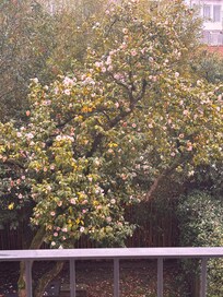 中庭のように見えるまるで暮らしてるかの様なベランダの景色