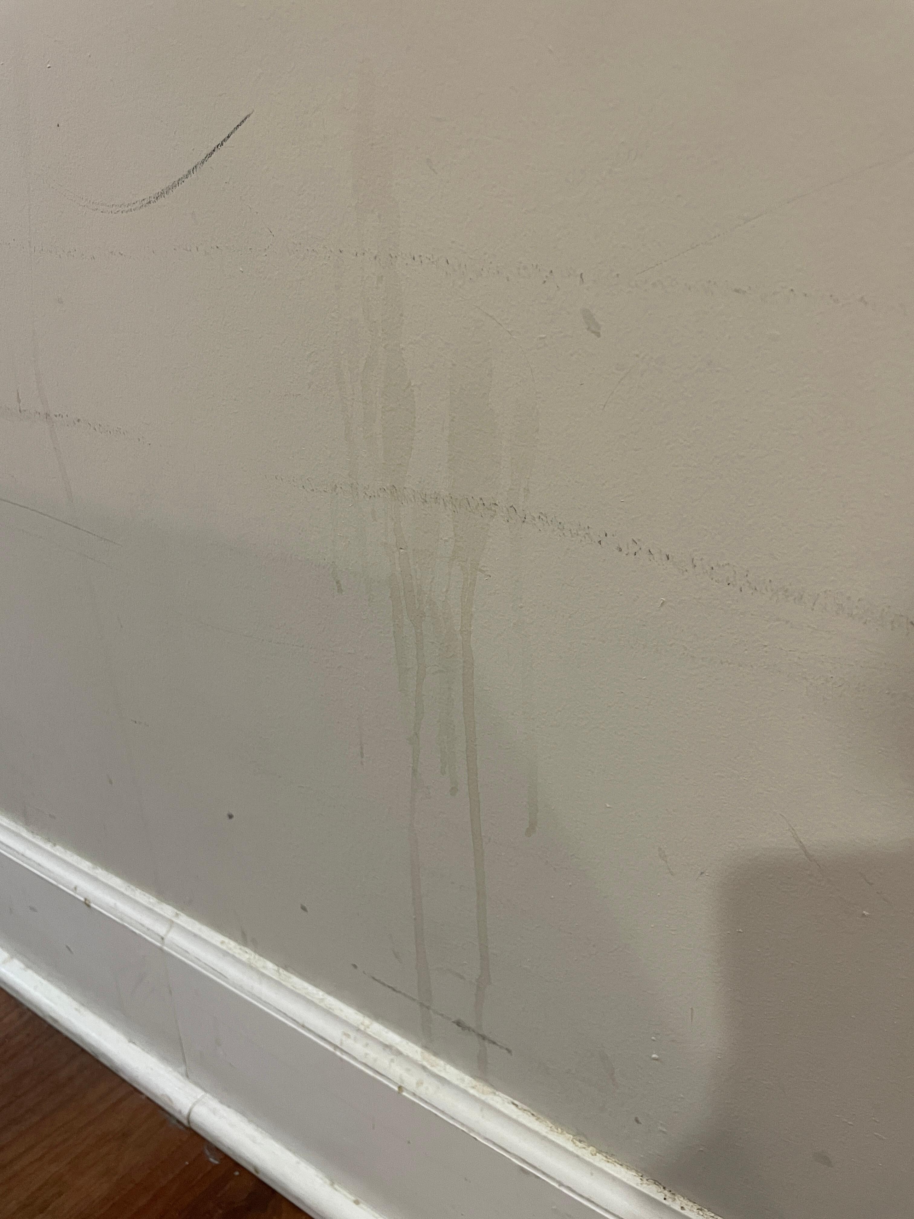 This is just one of the multiple stains on the walls.  The were disgusting.