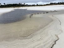 Beautiful walks and ocean views!