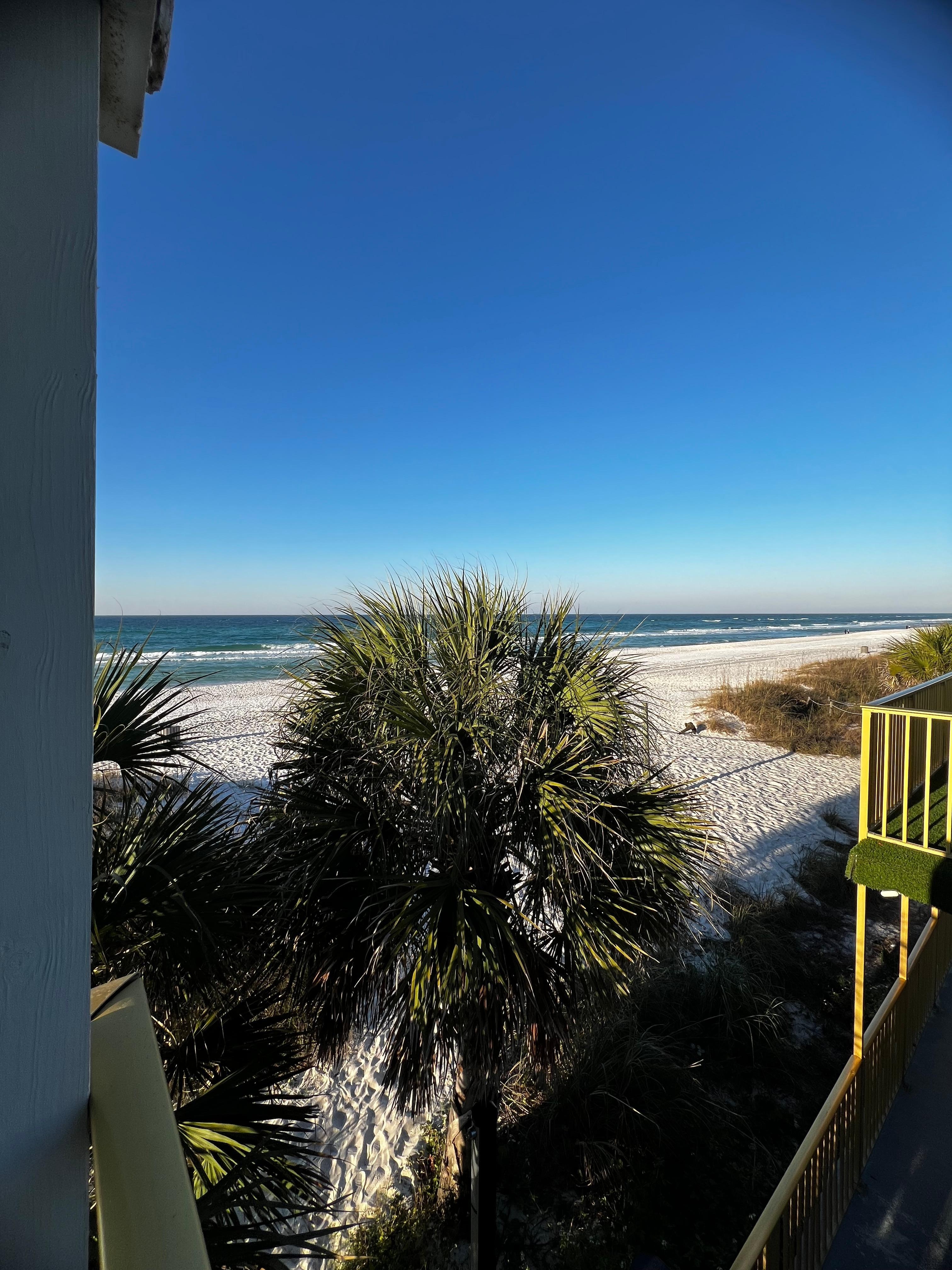 Balcony view room 225 1/2/26