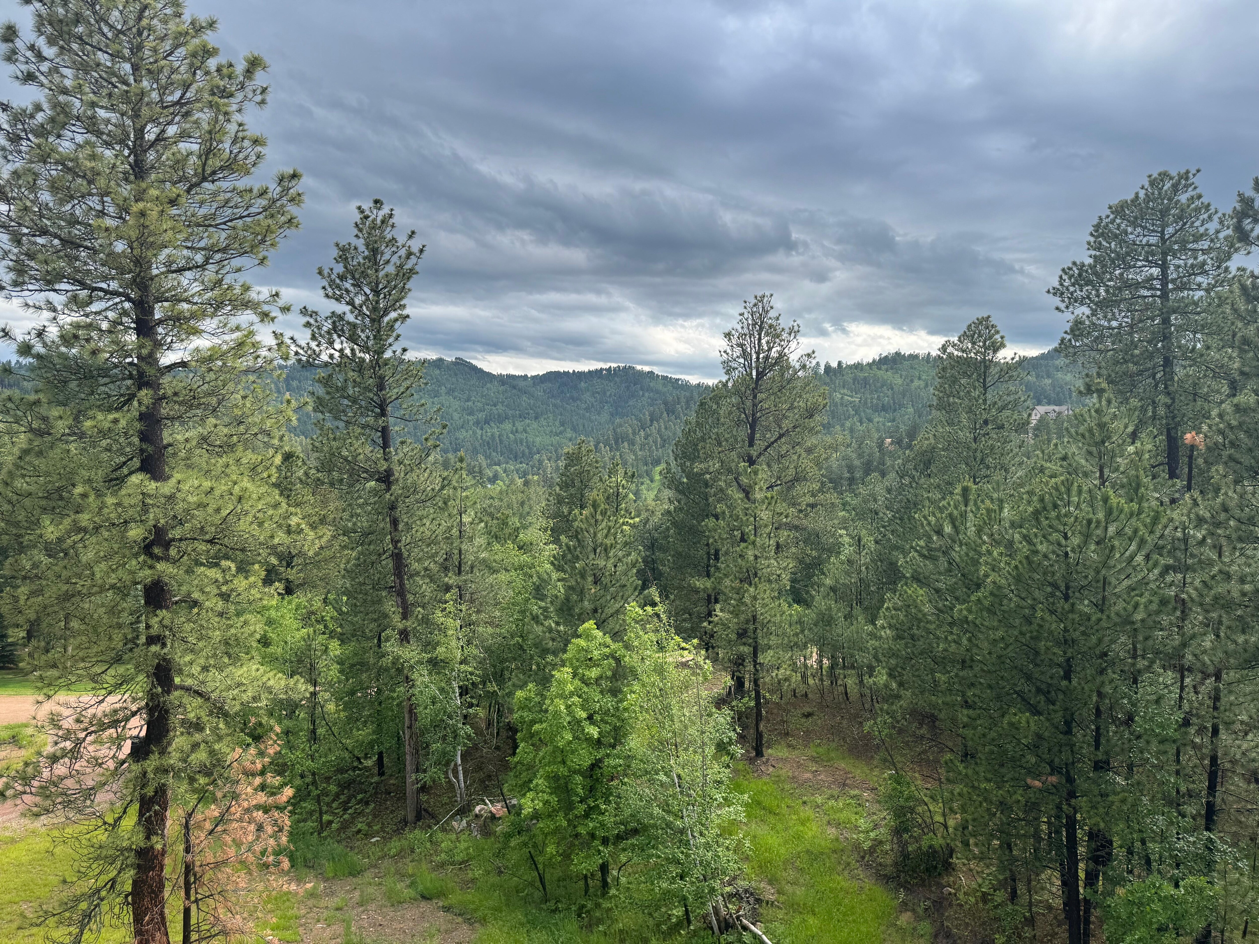 The views! 