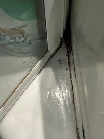 Mildew/mold in shower