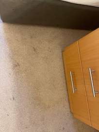 Dirty carpet
