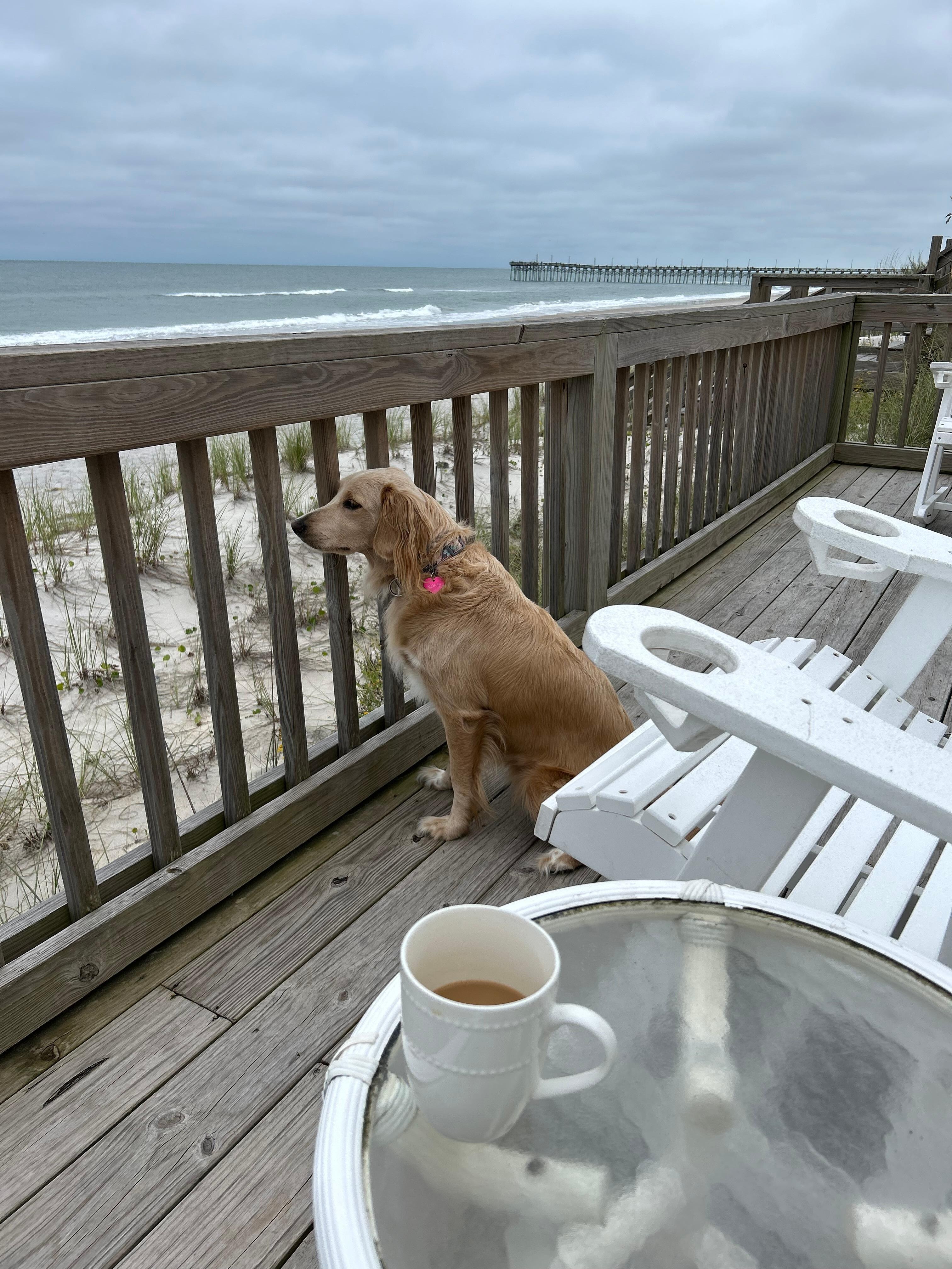 My pup loved the porch as much as we did! 