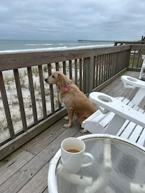 My pup loved the porch as much as we did!