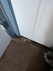 Frayed Carpet!