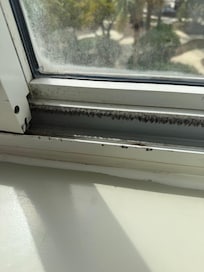 Mildew and mold on window sill