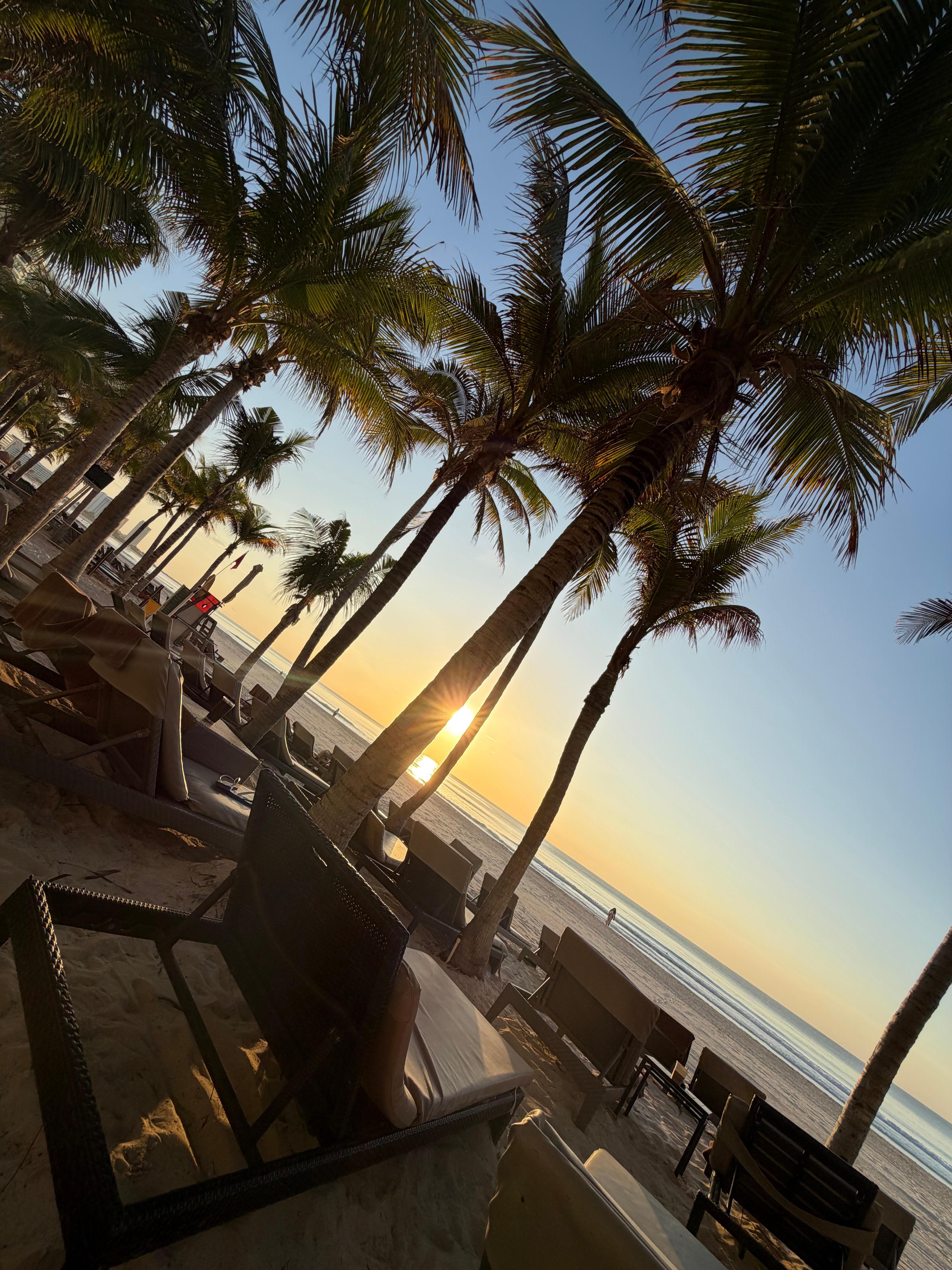 Setting on the beach