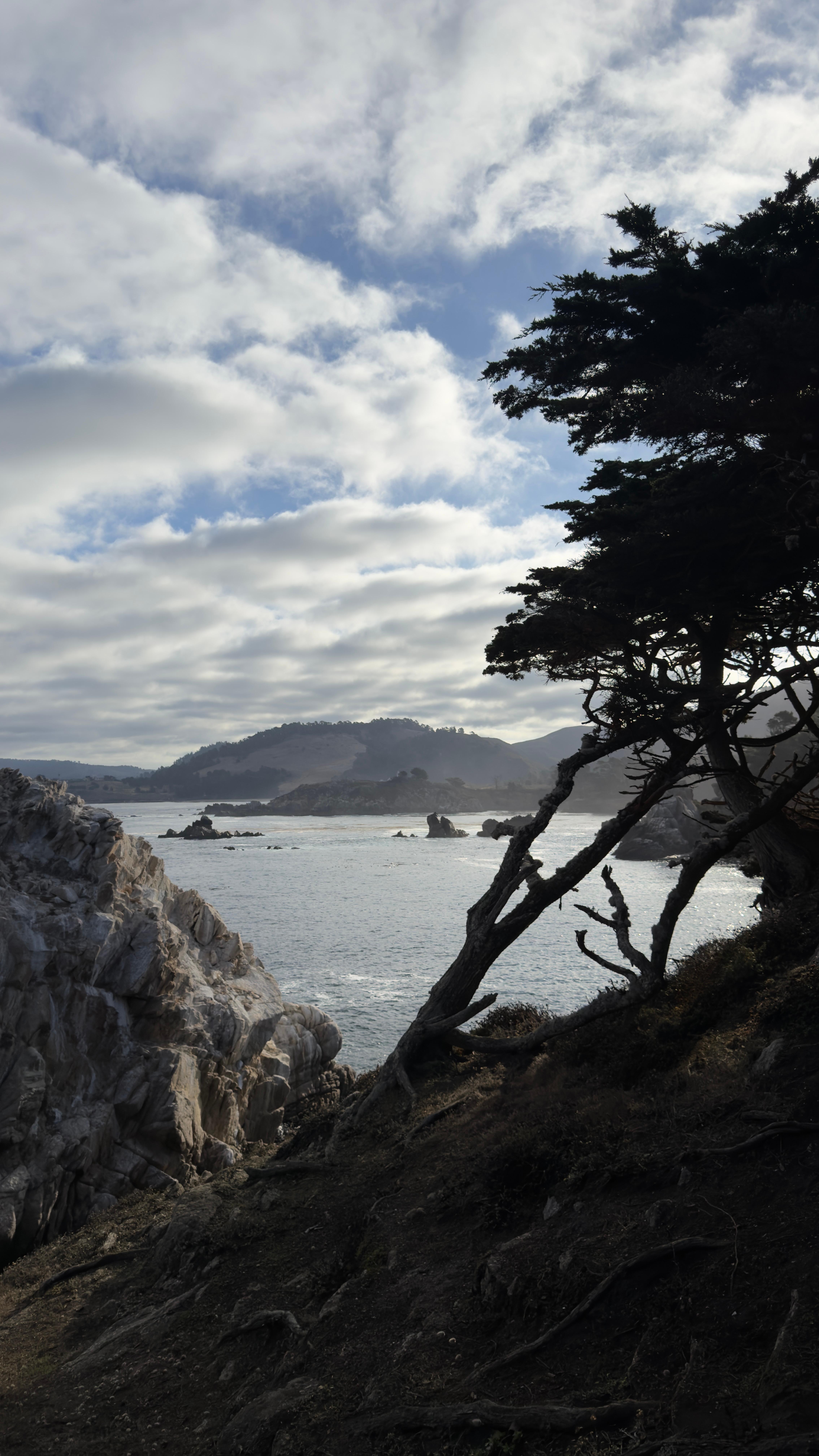 Point Lobos