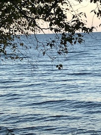 Lake Superior is gorgeous!