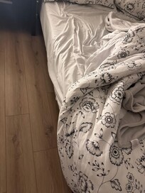 Picture of bed six inches off the floor