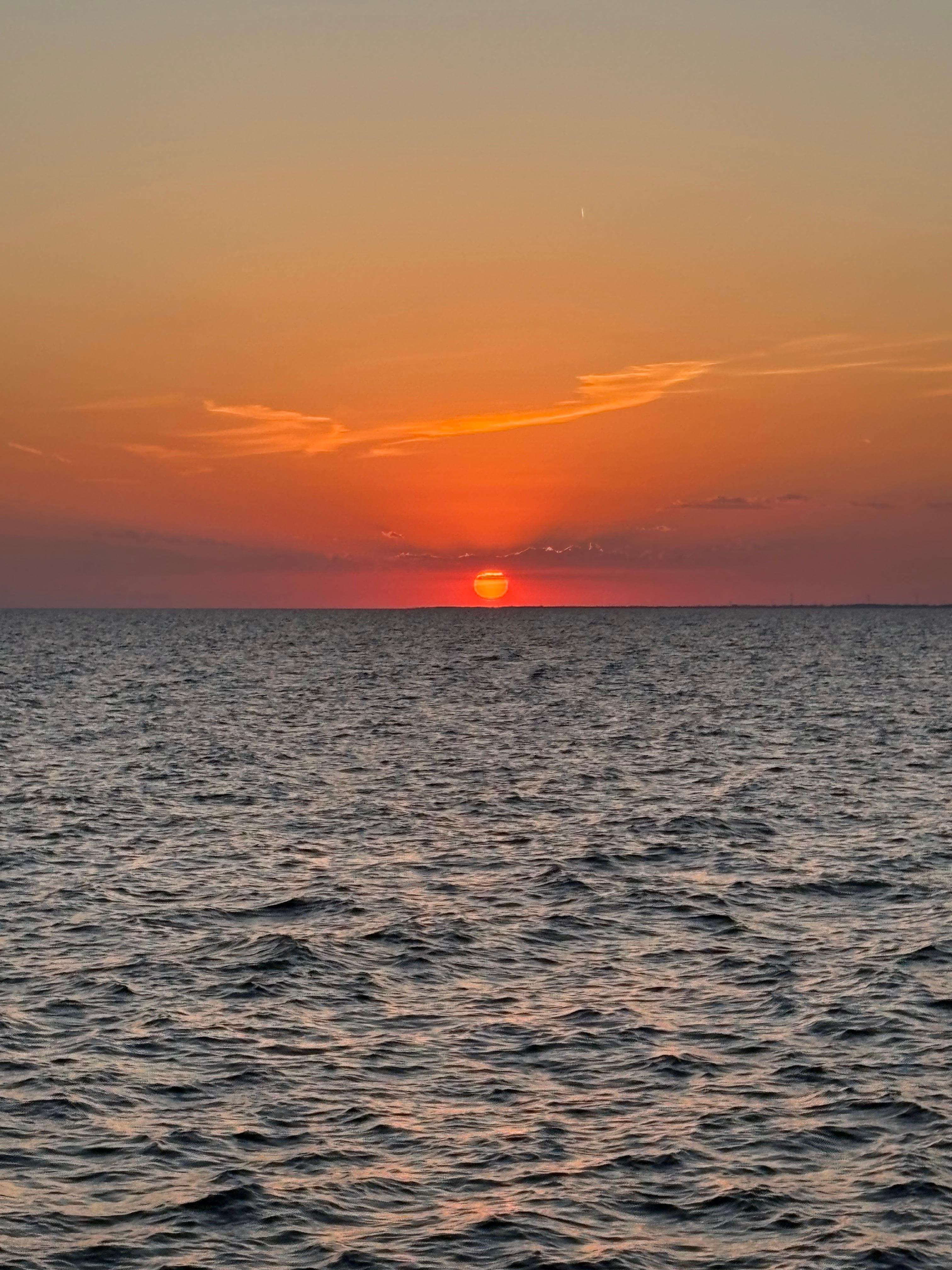 Beautiful sunset from the backyard. 