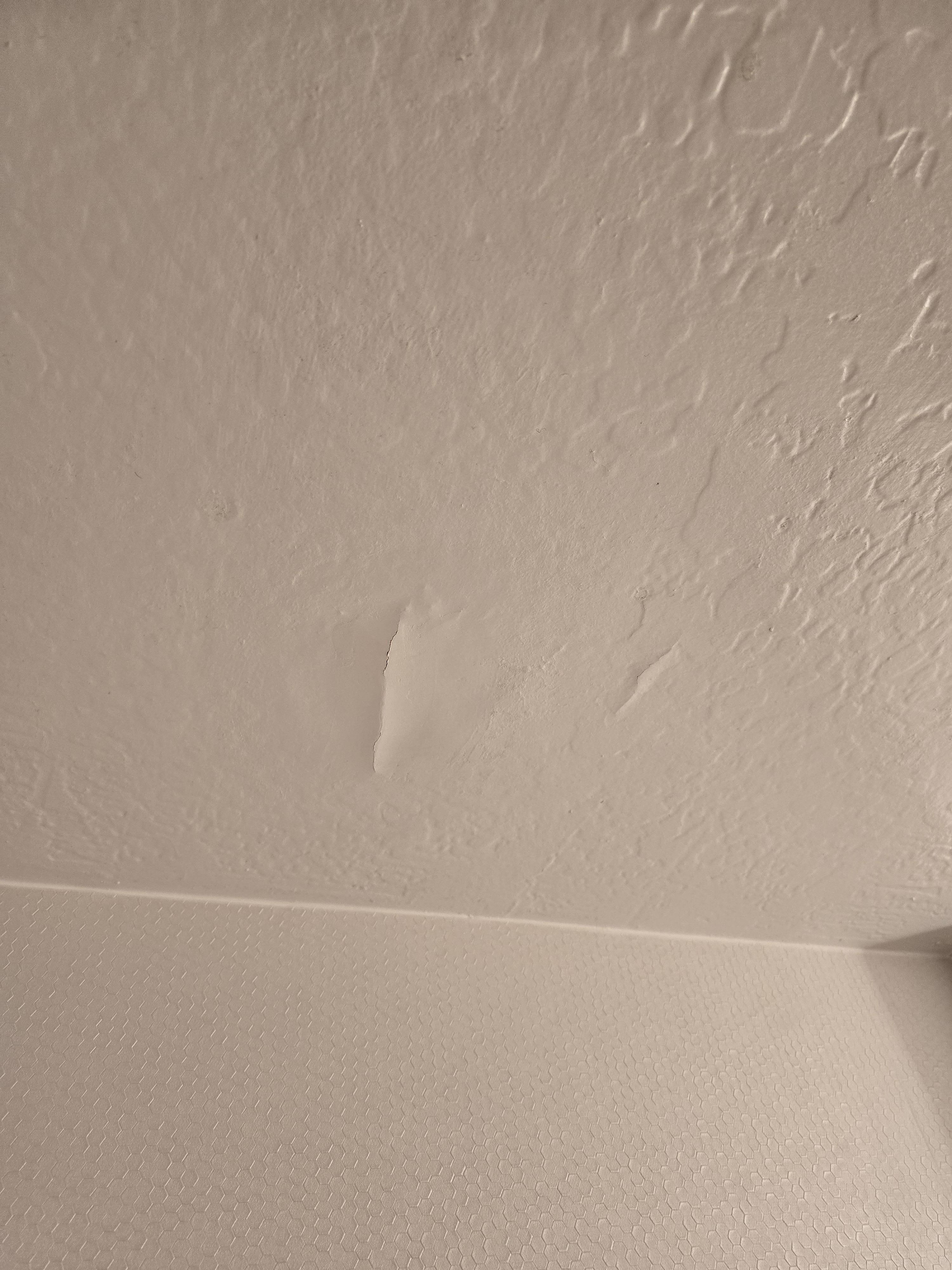 Paint above toilet bubbling