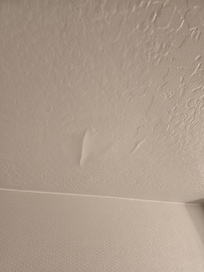 Paint above toilet bubbling