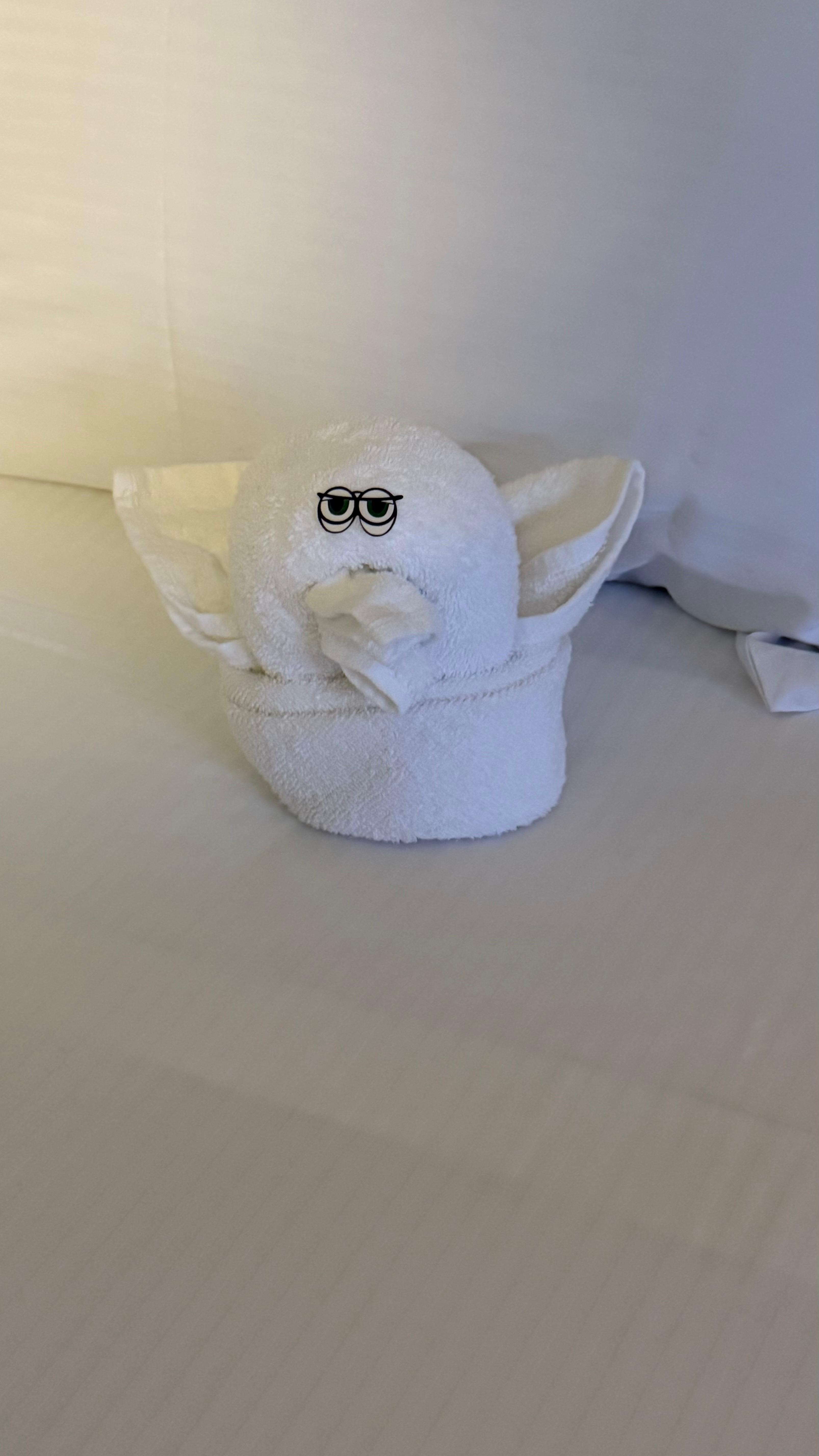 Cute little guy on the bed when we came in. 