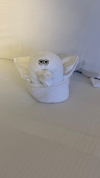 Cute little guy on the bed when we came in.