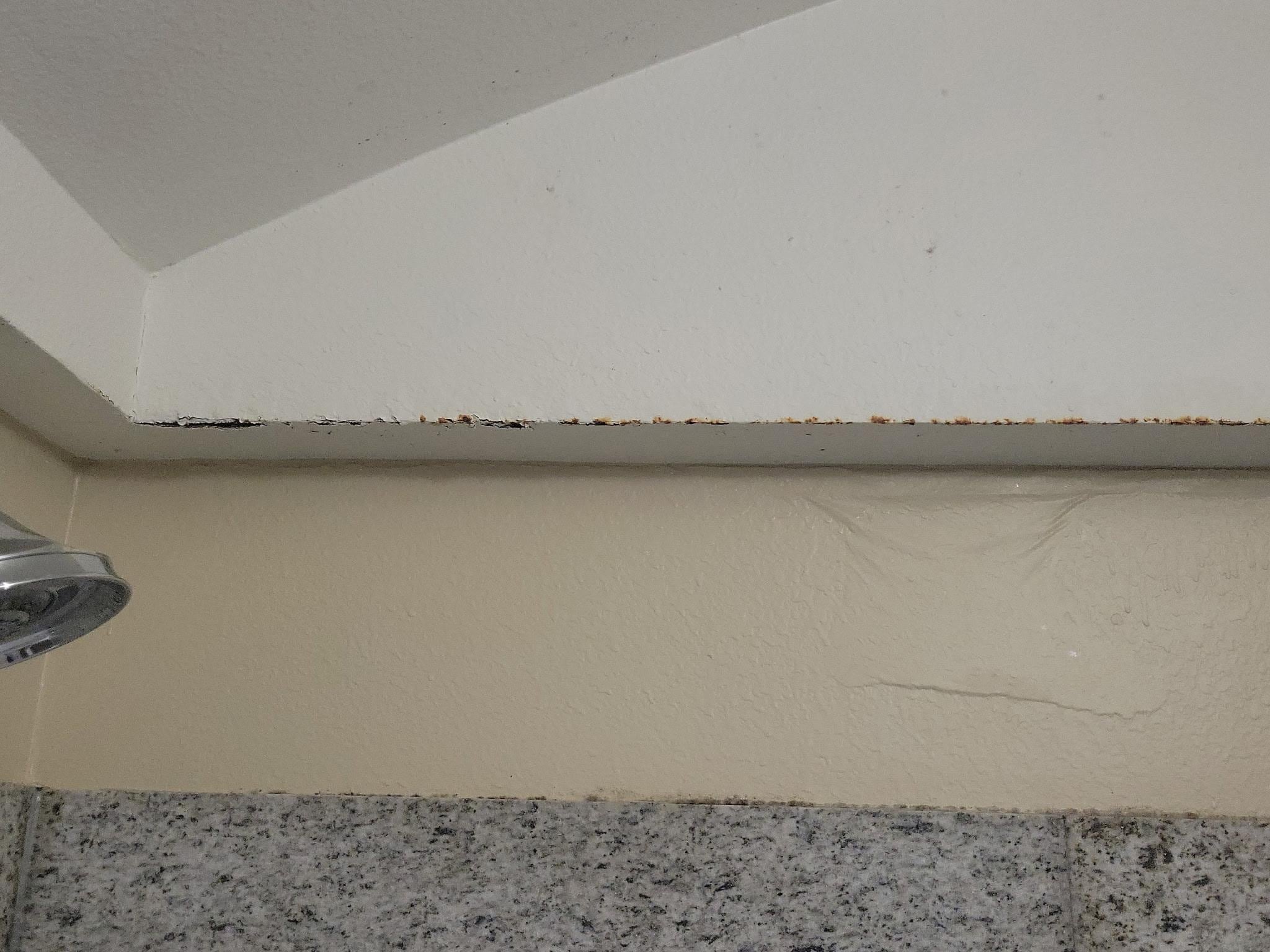 Wall above the shower 