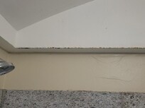 Wall above the shower