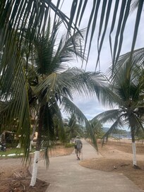 A nice walking path if you prefer a bit of shade!