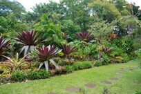 Hotel Bougainvillea in the garden after a lovely lunch