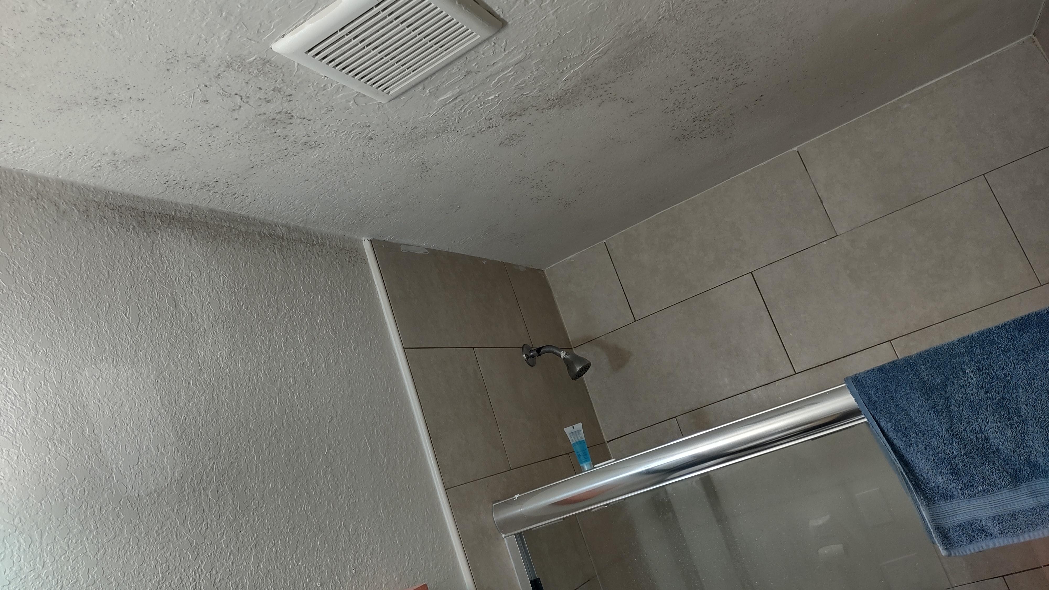 Mold on ceiling 