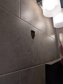 Picture of insecure mounting of bathroom mirror causing it to fall. Shows noticeable rot and decay of hook attaching said mirror