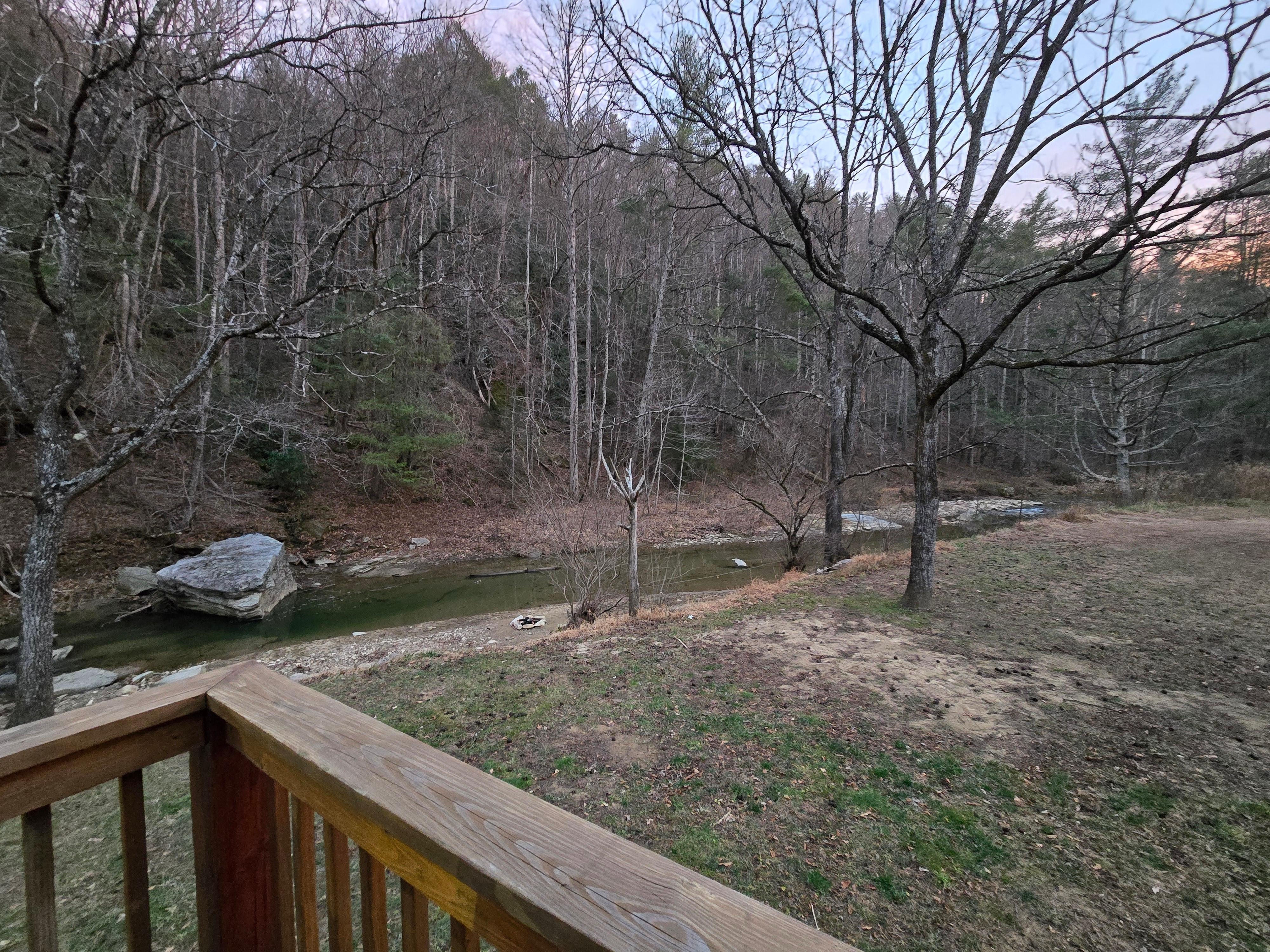 View from back porch.