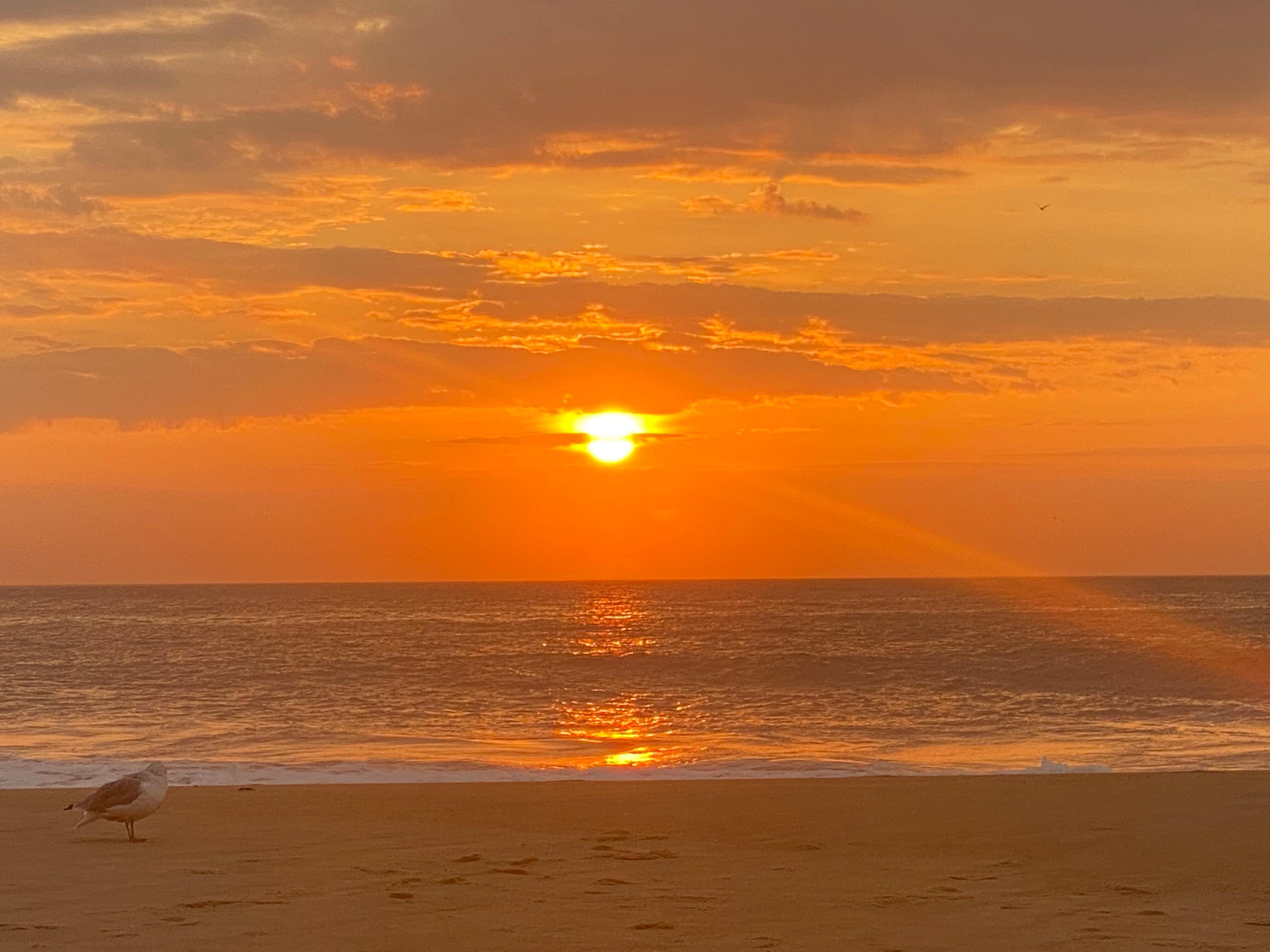Sunrise on the property beach 