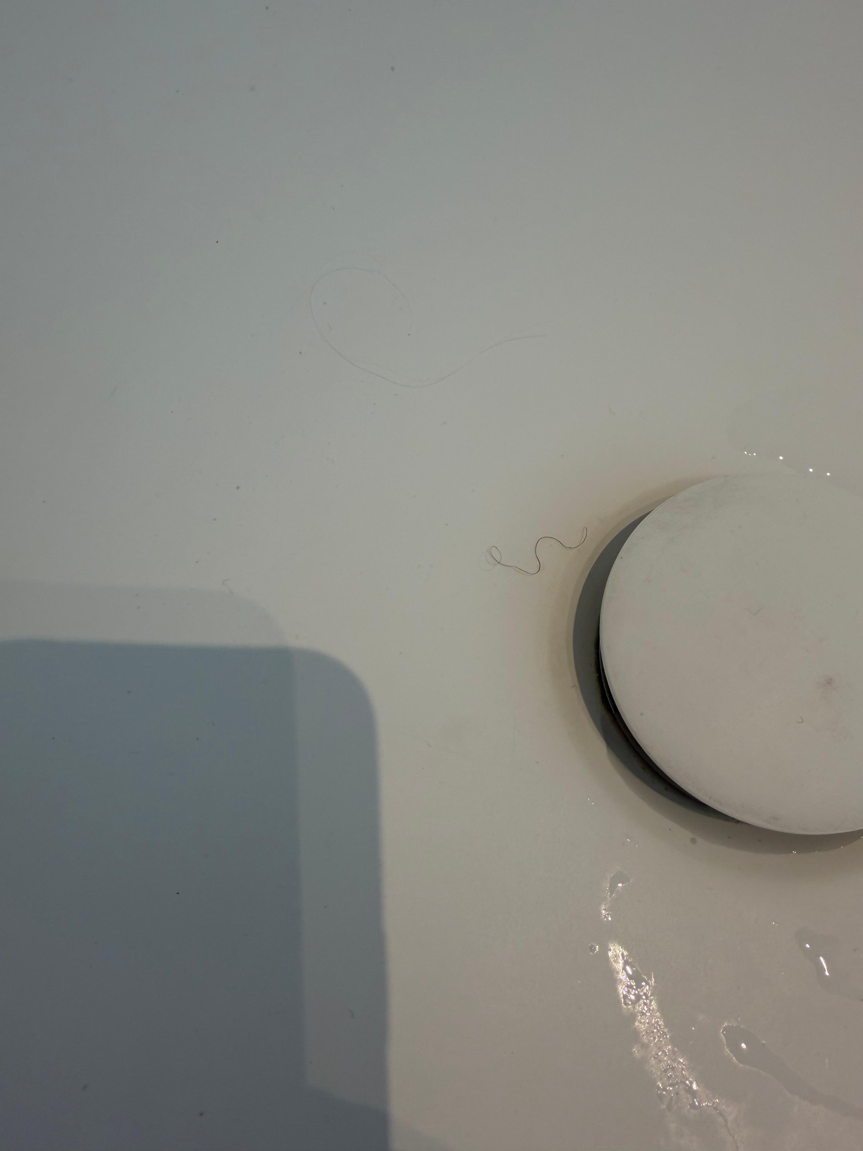 Random pubic hair in bottom of the tub, and a gift was left in the toilet. I did not want to add foto of that. 