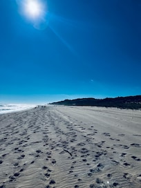 Beach just about 50 yards away