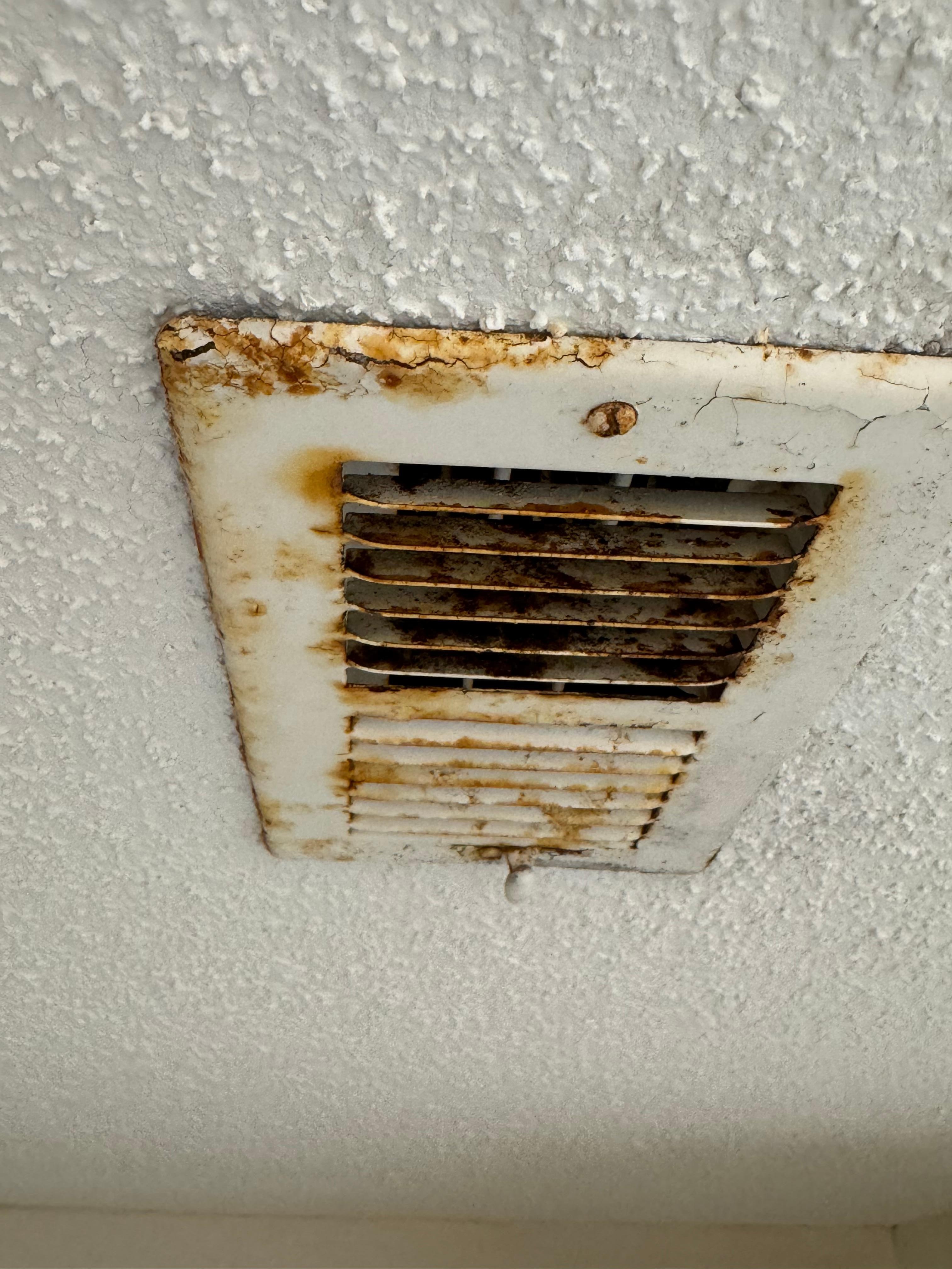 Rusty vents and appliances