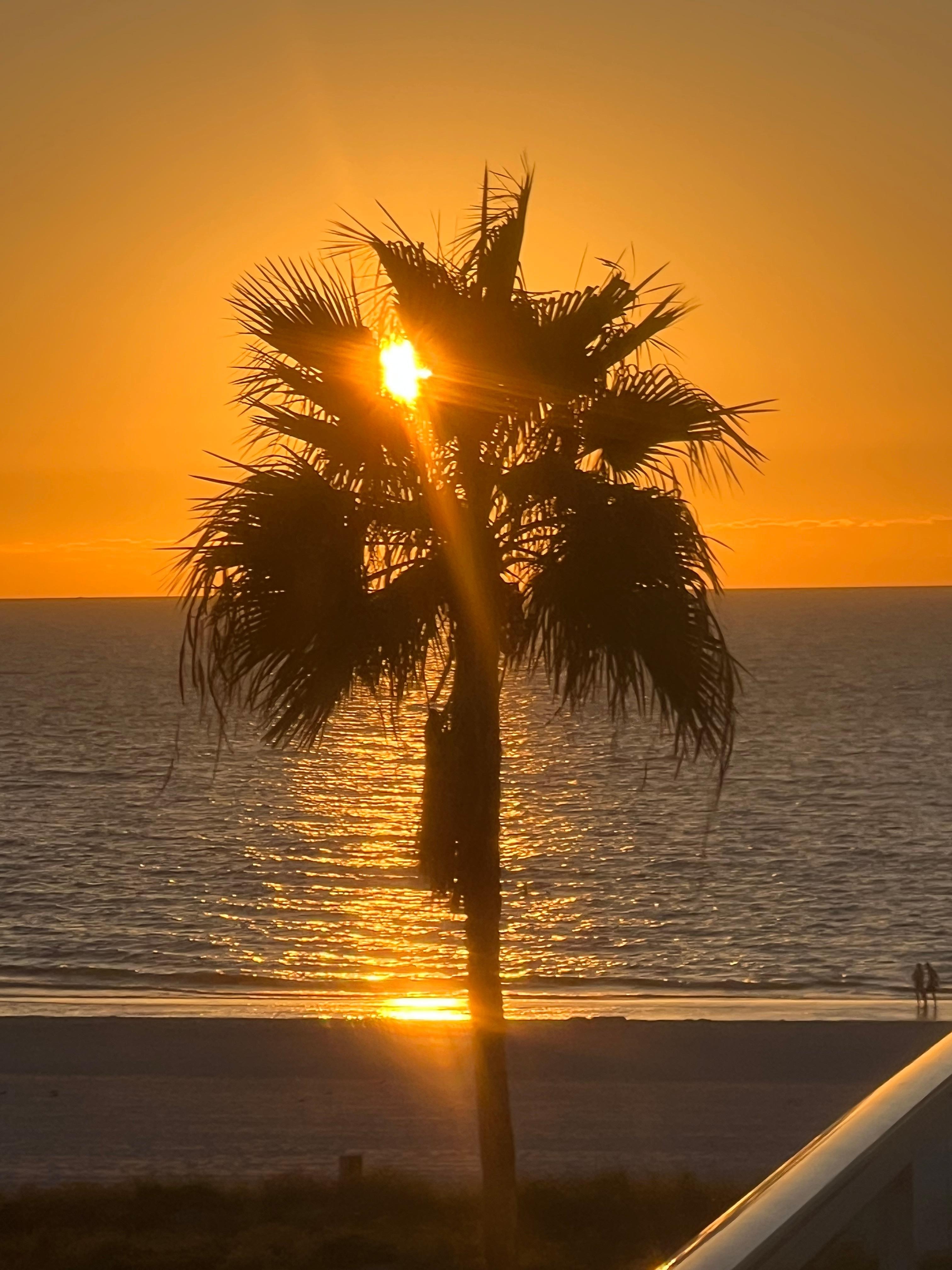 Sunset view from pool deck bar 