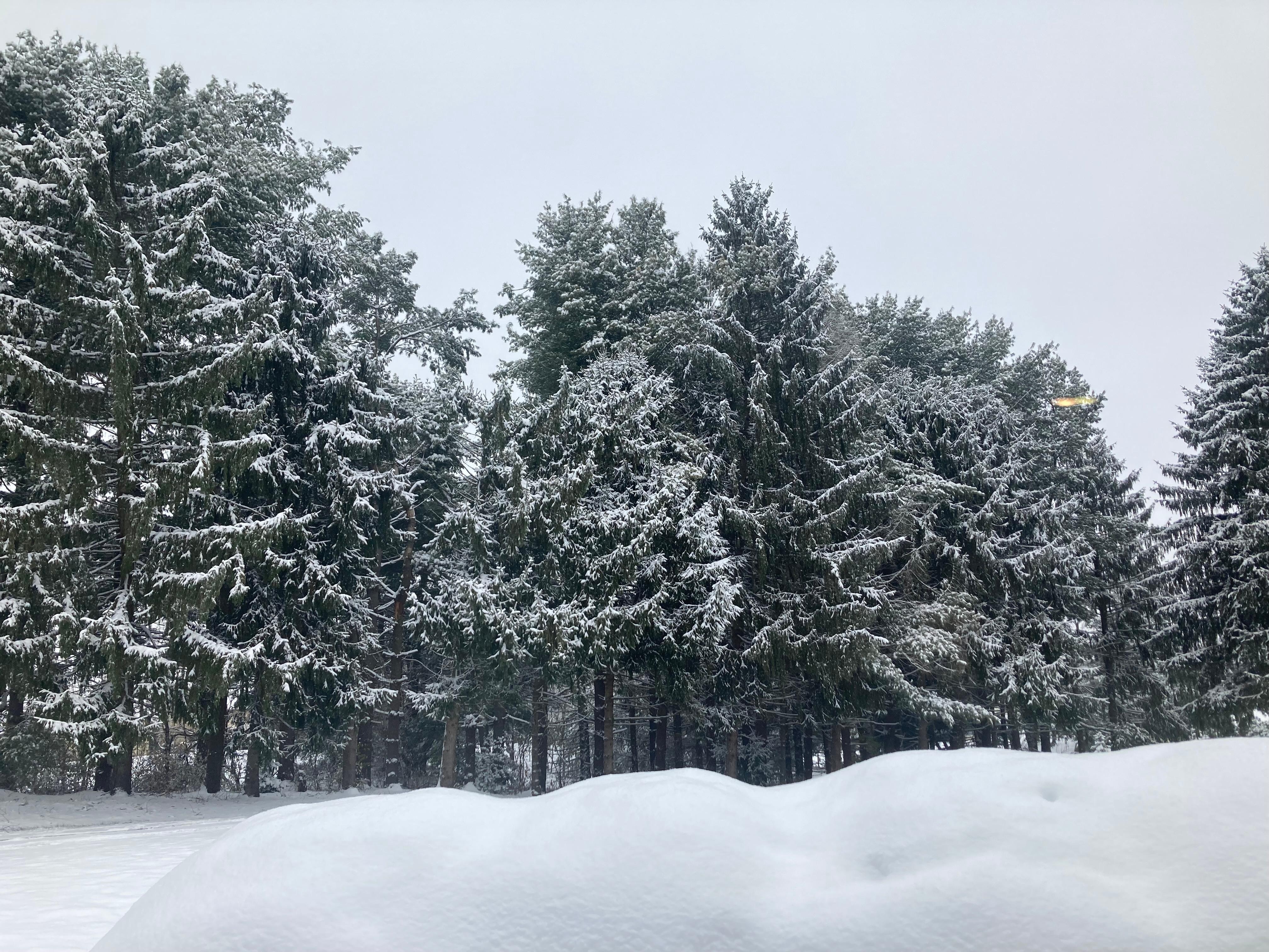 Christmas Morning Magic 